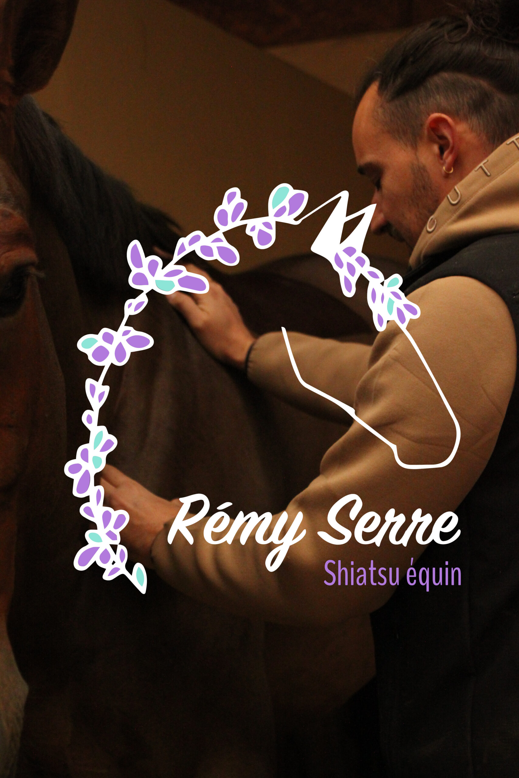 Rémy Serre, praticien shiatsu équin, en séance avec un cheval